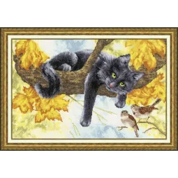 (C) Warmer Tag S/K011