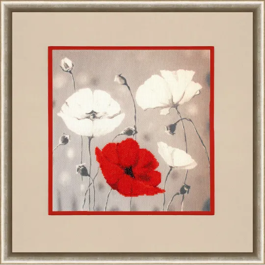 (C) (Discontinued) Red Poppies S/KN001