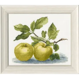 (C) Antonovka S/FS005