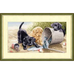 (C) Fröhliches Spiel S/NL020