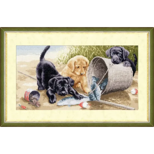 (C) Jeu joyeux S/NL020