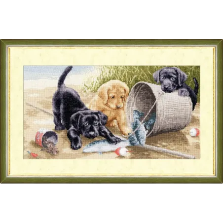 (C) Fröhliches Spiel S/NL020