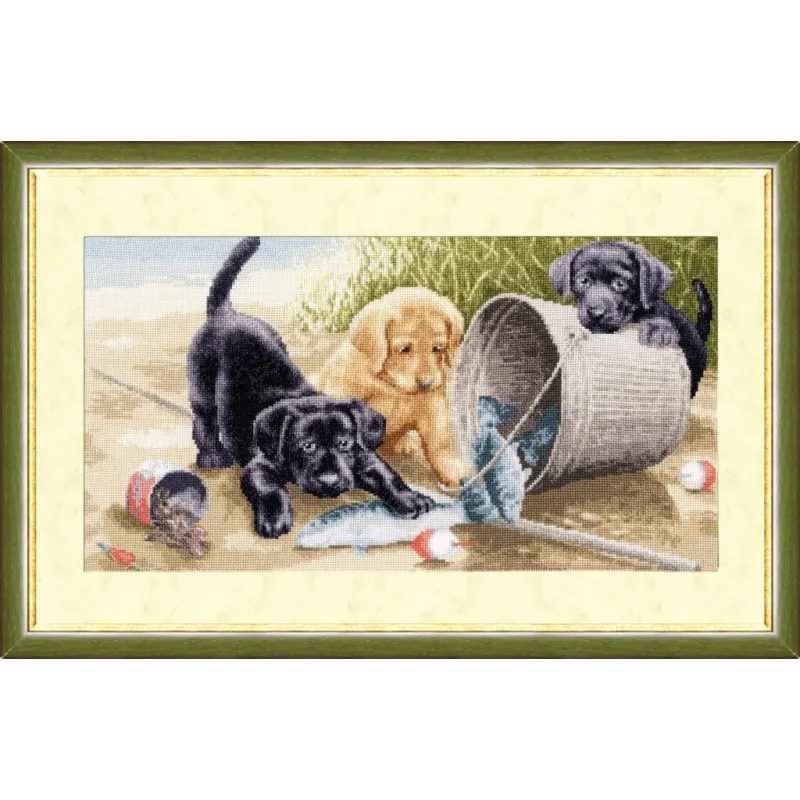 (C) Jeu joyeux S/NL020