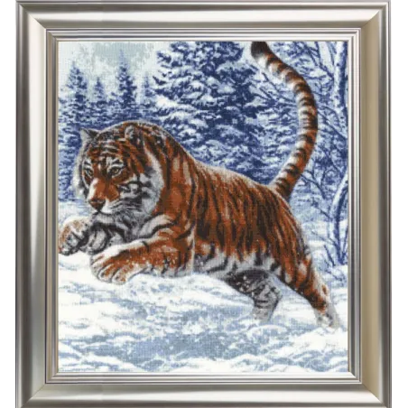 (C) Tiger Jump S/DZH019