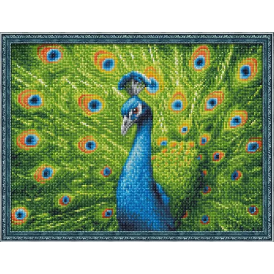 Deimantų tapybos rinkinys Beautiful Peacock 40x30 cm AM1801