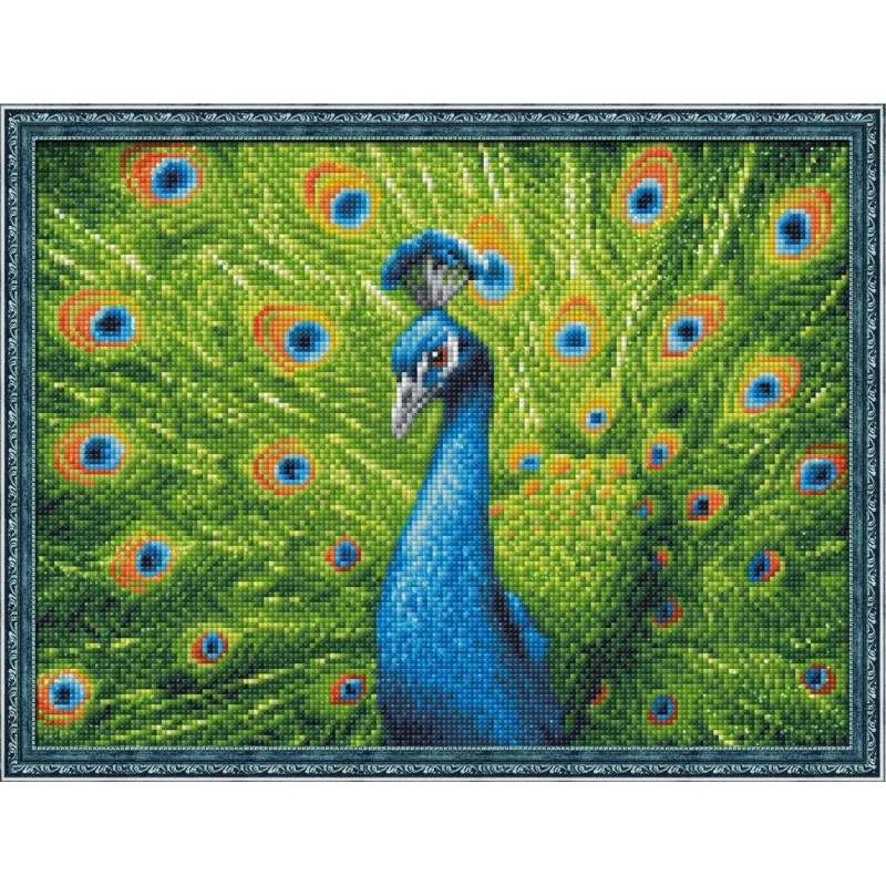 Deimantų tapybos rinkinys Beautiful Peacock 40x30 cm AM1801