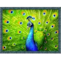 Diamond Painting Kit Schöner Pfau 40x30 cm AM1801