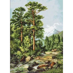 Rivière de Montagne SB522