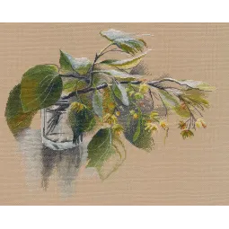 Kryželio siuvinėjimo rinkinys "Linden fragrance" S1582
