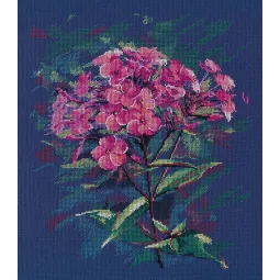 Kryželiu siuvinėjimo rinkinys "Phloxes" S1590