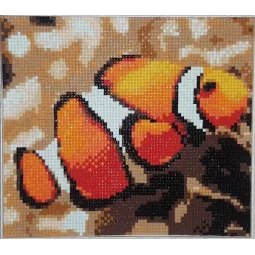 Kit de peinture diamant "Poisson clown" 20х18 cm AM1061