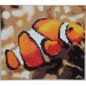 Diamond Painting kit "Clown Fish" 20х18 cm AM1061