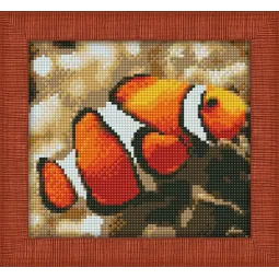 Kit de peinture diamant "Poisson clown" 20х18 cm AM1061