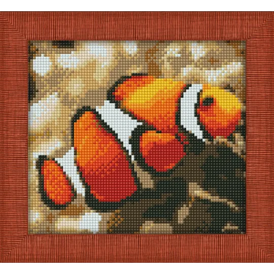 Diamond Painting kit "Clown Fish" 20х18 cm AM1061