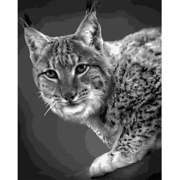 Painting by numbers kit. F008 Lynx 40*50