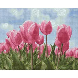 (IŠPARDAVIMAS) (Nebegaminamas) Dangus ir tulpės 48*38 cm WD2301