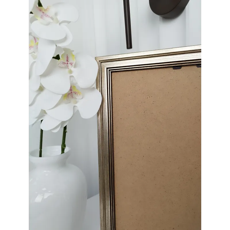 Рама без стекла R3692852030