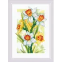 Cross stitch kit "Spring Glow. Daffodils" 21x30 SR2189