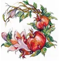 Cross stitch kit 'Pomegranate" SANG-09