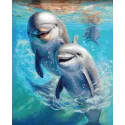 Diamond Painting "ArtCity" on the subframe Dolphins 30x40 cm VA805