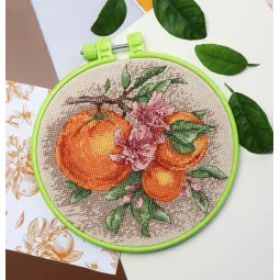 Наборы для вышивания крестиком с пяльцами Цитрусовые ноты 17x17 cm Abris Art AAHM-076