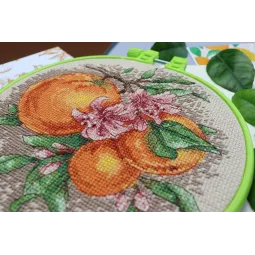 Наборы для вышивания крестиком с пяльцами Цитрусовые ноты 17x17 cm Abris Art AAHM-076
