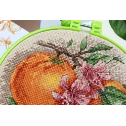 Наборы для вышивания крестиком с пяльцами Цитрусовые ноты 17x17 cm Abris Art AAHM-076