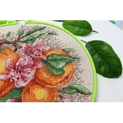 Наборы для вышивания крестиком с пяльцами Цитрусовые ноты 17x17 cm Abris Art AAHM-076