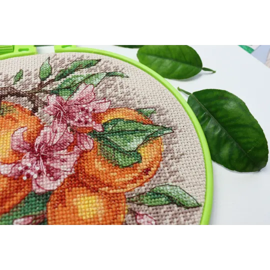 Наборы для вышивания крестиком с пяльцами Цитрусовые ноты 17x17 cm Abris Art AAHM-076 Наборы для вышивания крестиком с пяльцами Цитрусовые ноты 17x17 cm Abris Art AAHM-076