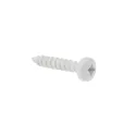 Mounting screw white SP10100