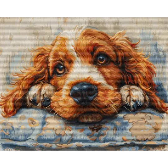 Cocker Spaniel 32x25cm SBU5058