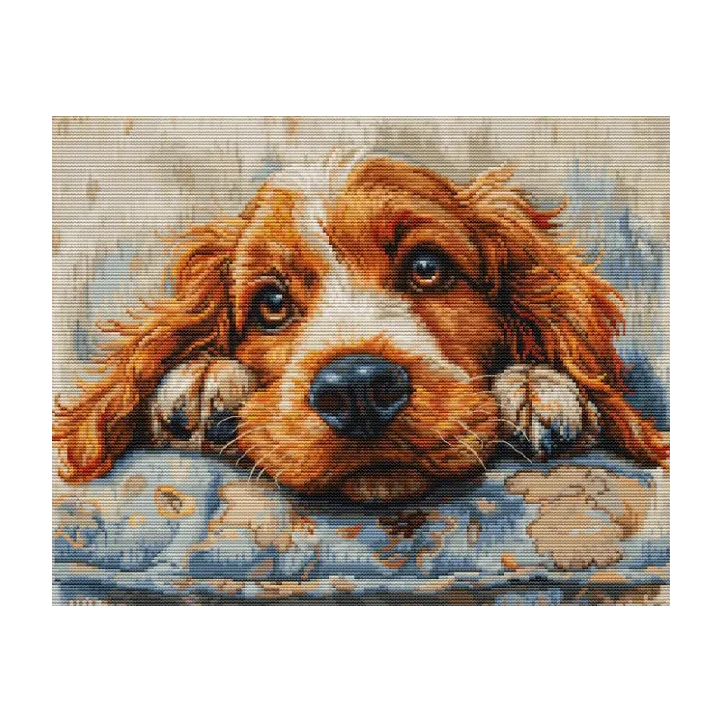 Cocker Spaniel 32x25cm SBU5058