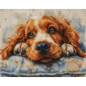 Cocker Spaniel 32x25cm SBU5058