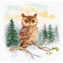 Cross stitch kit "Tales of the forest. Owl" S0-242