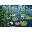 Cross stitch kit "Clean Ponds" S1610