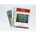 Cross stitch kit "Clean Ponds" S1610