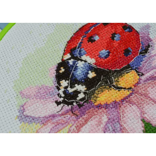 Cross-stitch kits - Sunny Bedryk AAHM-078