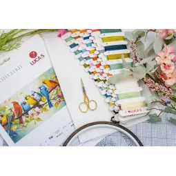 Kryželiu siuvinėjimo rinkinys Paukščių daina 43x22 cm SBU5062