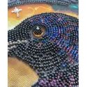 Main Bead Embroidery Kit - Black raven AAB-904