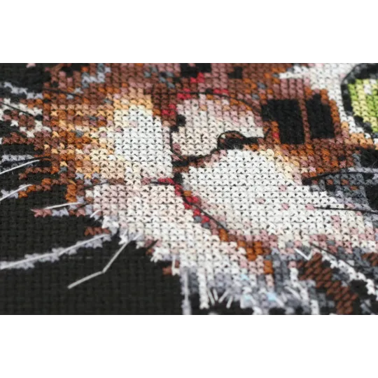 Cross-stitch kits - Fluffy kitten AAH-062