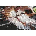 Cross-stitch kits - Fluffy kitten AAH-062