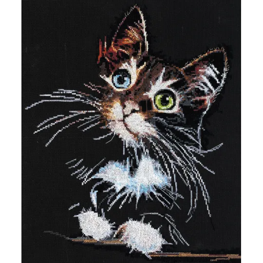 Cross-stitch kits - Fluffy kitten AAH-062