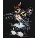 Cross-stitch kits - Fluffy kitten AAH-062