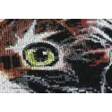 Cross-stitch kits - Fluffy kitten AAH-062