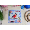 Cross stitch kit "Mini sampler. Winter composition" SNV-946