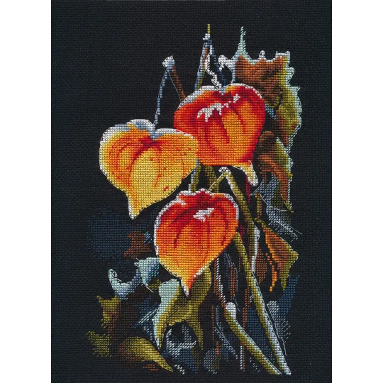 Cross stitch kit "Physalis on black" S1617