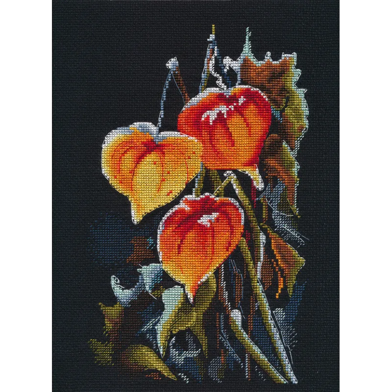 Cross stitch kit "Physalis on black" S1617