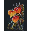 Cross stitch kit "Physalis on black" S1617