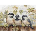 Chickadees On The Fence 24x17,5cm SBU5066