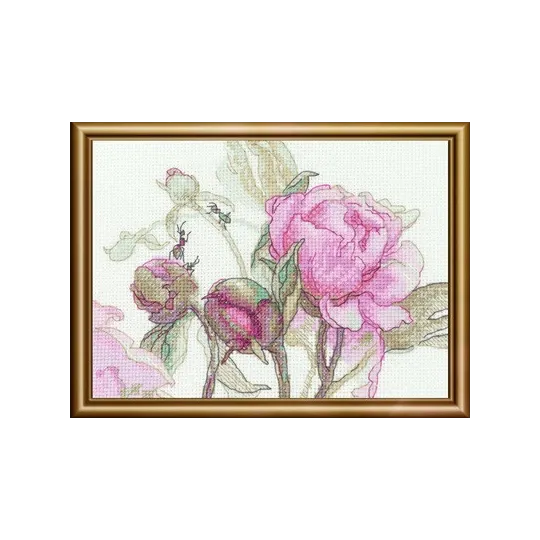 Peonies. Delight 18x15 SRA1009